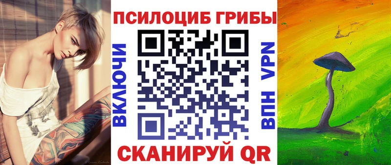 купить наркотики цена  Белоозёрский  гидра tor  Псилоцибиновые грибы мицелий 